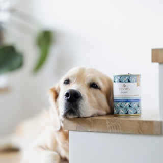 Perro Gourmet Konina z korzeniem pietruszki –Karma mokra dla psów dorosłych 400g