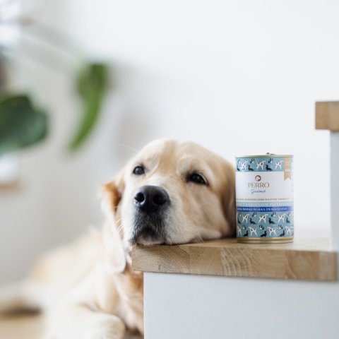 Perro Gourmet Konina z korzeniem pietruszki –Karma mokra dla psów dorosłych 400g