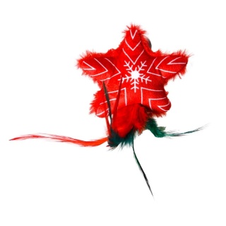 BUBA Święta! kot Gwiazdka z piórami