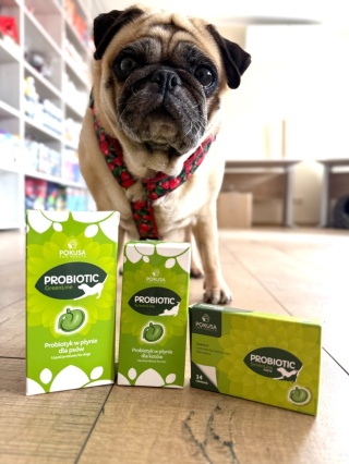 Pokusa Probiotyk w tabletkach - Probiotic Forte - GreenLine 14 tab.