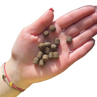 Farma Kaczka 2kg – Hipoalergiczna karma dla psa tłoczona na zimno, monobiałkowa