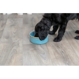 TRIXIE Miska ceramiczna, dla psa, niebieska, 0.9 l/ 16 cm